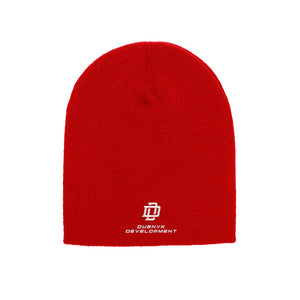 Wholesale Beanie | 500 LEVEL