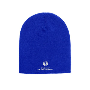 Wholesale Beanie | 500 LEVEL