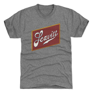 Leavitt Men's Premium T-Shirt | 500 LEVEL